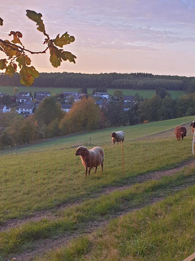 Andinas Ferienwohnung In Ruhiger Lage Direkt Am Wald Wilnsdorf Bagian luar foto